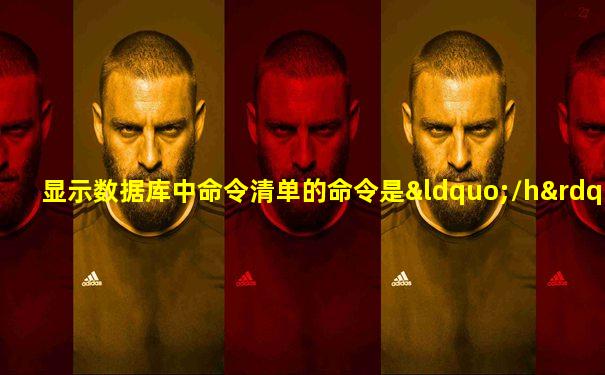 显示数据库中命令清单的命令是“\h”